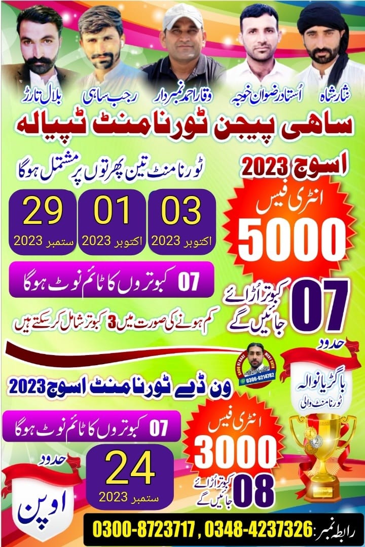 ساہی پیجن کلب ٹپیالہ سنگل ہٹ 